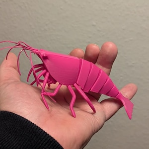 Hand Made flexi Articulated Shrimp - 3D Printed
