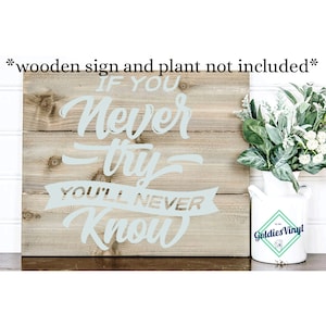 May include: A light blue vinyl decal on a wooden sign that reads "IF YOU NEVER TRY YOU'LL NEVER KNOW". The sign is made of light brown wooden planks. A white pitcher with a green and blue logo is to the right.