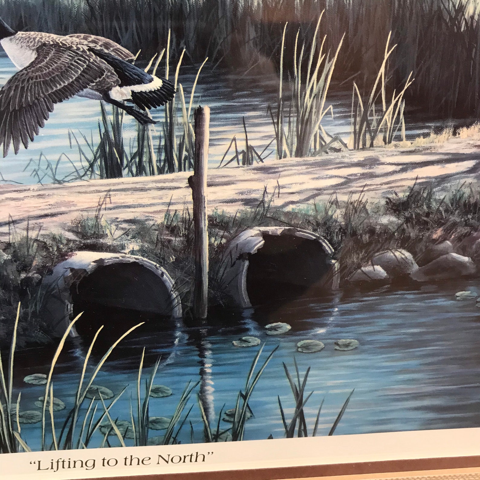 1987 Ken Zylla Framed Matted Commemorative Print Signed Etsy