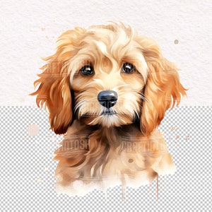 Watercolor Cockapoo Dog PNG Clipart - Cute Puppies Pet Portrait Animal ...