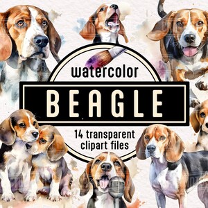 Beagle Watercolor Dog and Puppies Clipart - cute animal illustrations pet portrait PNG instant download for commercial use