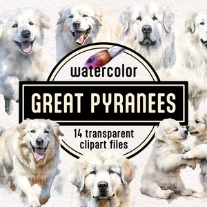 Clipart aquarelle chien et chiots des Grandes Pyrénées - illustrations d'animaux portrait pour animaux de compagnie Téléchargement instantané PNG pour un usage commercial