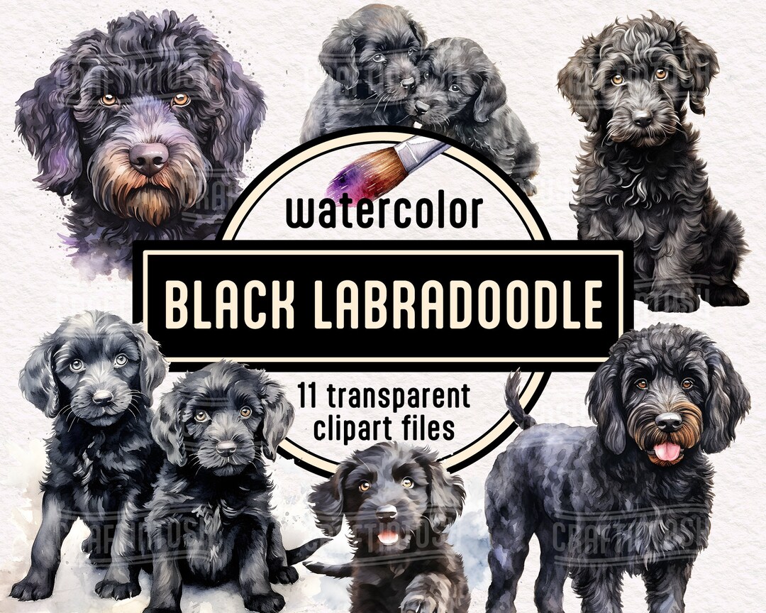 Watercolor Black Labradoodle Dog PNG Clipart - Cute Puppies Pet ...