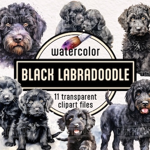 Acquerello Labradoodle nero cane PNG Clipart - simpatici cuccioli ritratto di animali illustrazioni di animali download digitale immediato per uso commerciale