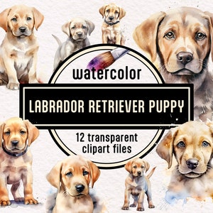 Watercolor Labrador Retriever Puppies - Cute Dog Clipart, dog breed illustration transparent PNG instant download, commercial use