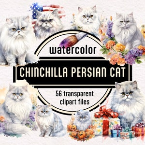 水彩シルバーチンチラペルシャ猫PNGクリップアート56かわいい子猫ペットの肖像画猫の品種のイラスト、花、愛国的な星条旗
