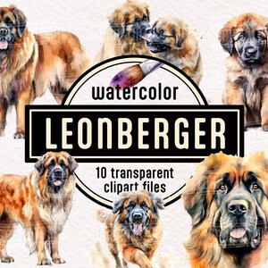 Watercolor Leonberger Puppies Clipart - cute animal illustration pet portrait transparent PNG instant download commercial use dog dad gift