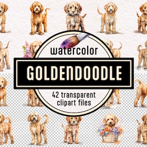 Goldendoodle PNG Hund Aquarell Clip Art Set - digitale Grafiken sofort download kommerzielle Nutzung hochauflösende druckbare niedliche Welpen Zeichnung