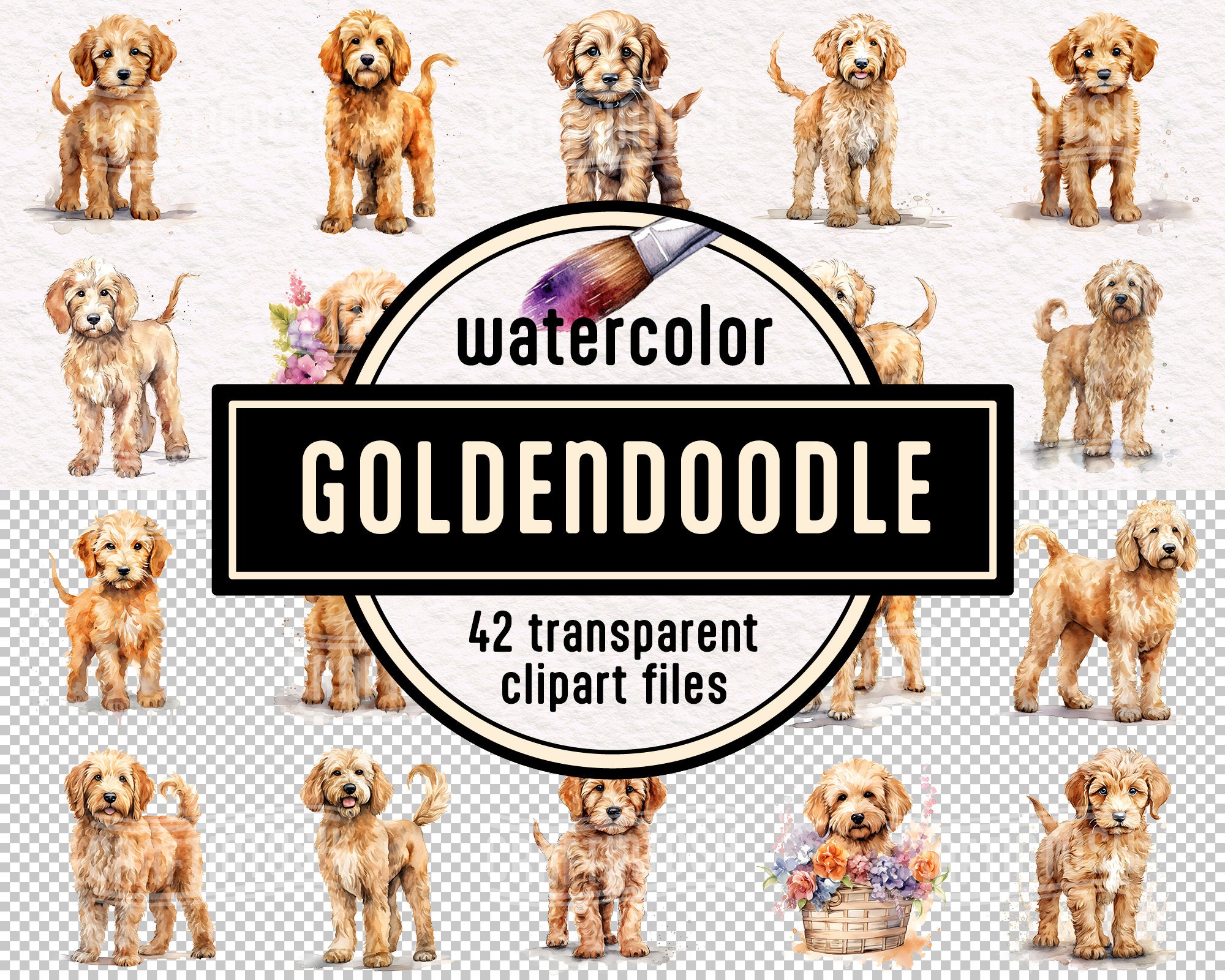 Goldendoodle PNG Dog Watercolor Clip Art Set - Digital Graphics Instant ...