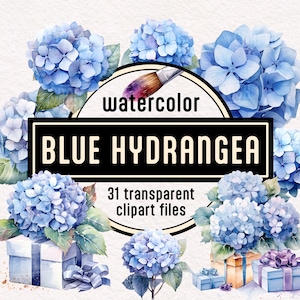 Blue Hydrangea Watercolor Clipart - Blue Flower Hortensia Printable Big Leaf Hydrangea transparent PNG instant download for commercial use