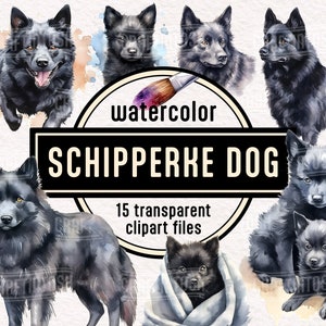 Aquarelle chien Schipperke PNG Clipart - chiots mignons portrait animal illustrations téléchargement numérique instantané pour un usage commercial