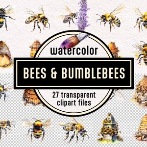 Aquarel bijen en hommels Clipart PNG Set - digitale afbeeldingen instant download commercieel gebruik hoge resolutie bijenkorf sticker clipart