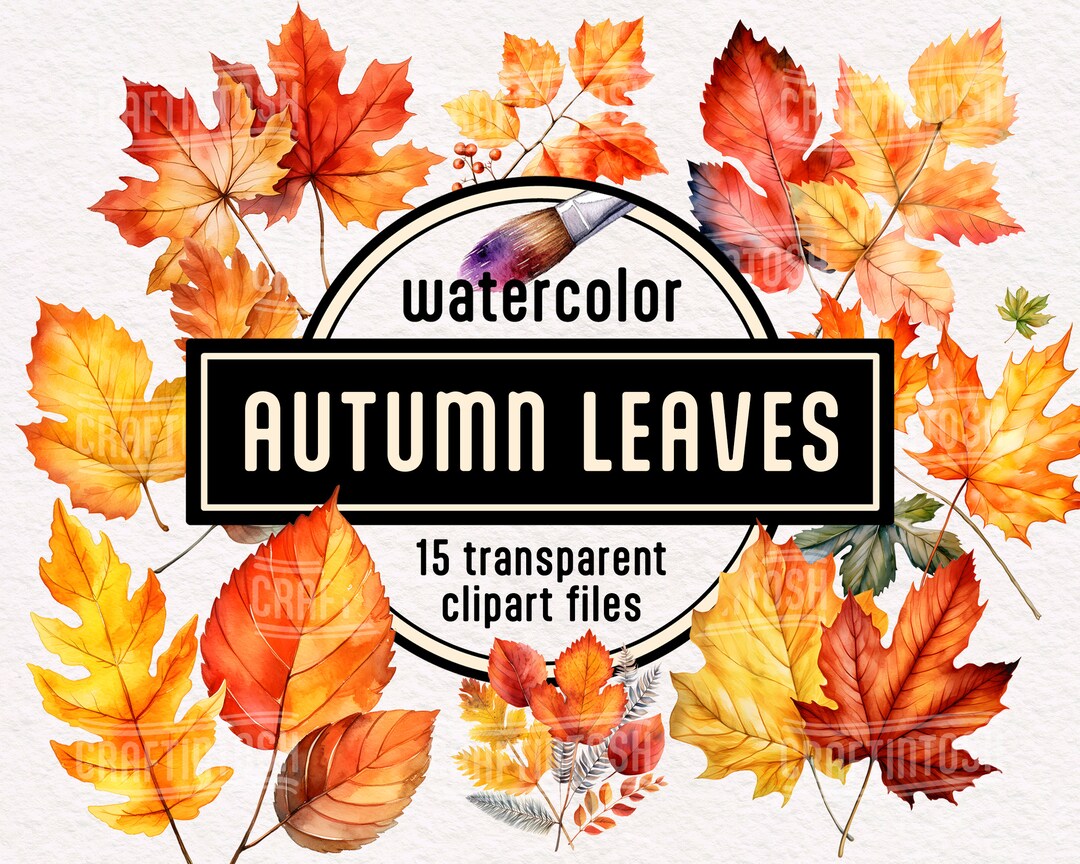 Watercolor Cozy Autumn Leaves Clipart - Transparent Fall Decor Leaf PNG ...