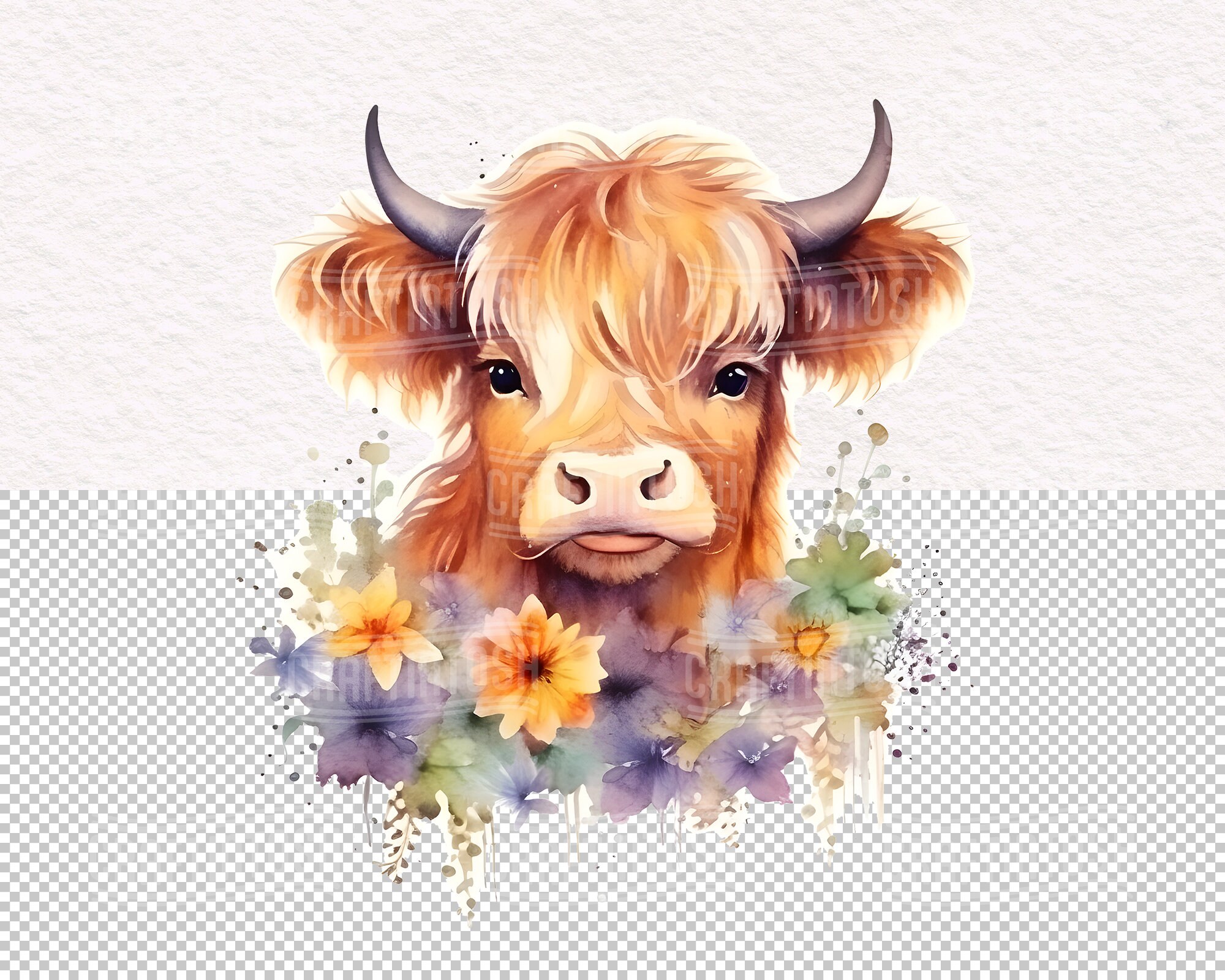 Baby Highland Cow Watercolor Clipart Set 28 Transparent PNG Boho Baby ...