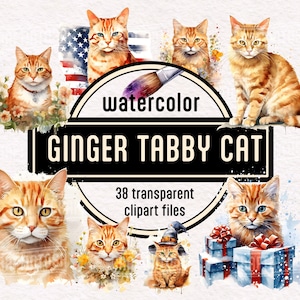 Aquarell, Ginger Tabby Cat PNG transparente Clipart, Orange Tabby mit Blumen, Sternen und Streifen, für Cat Lady Tees, Cat Dad Tassen, Karten