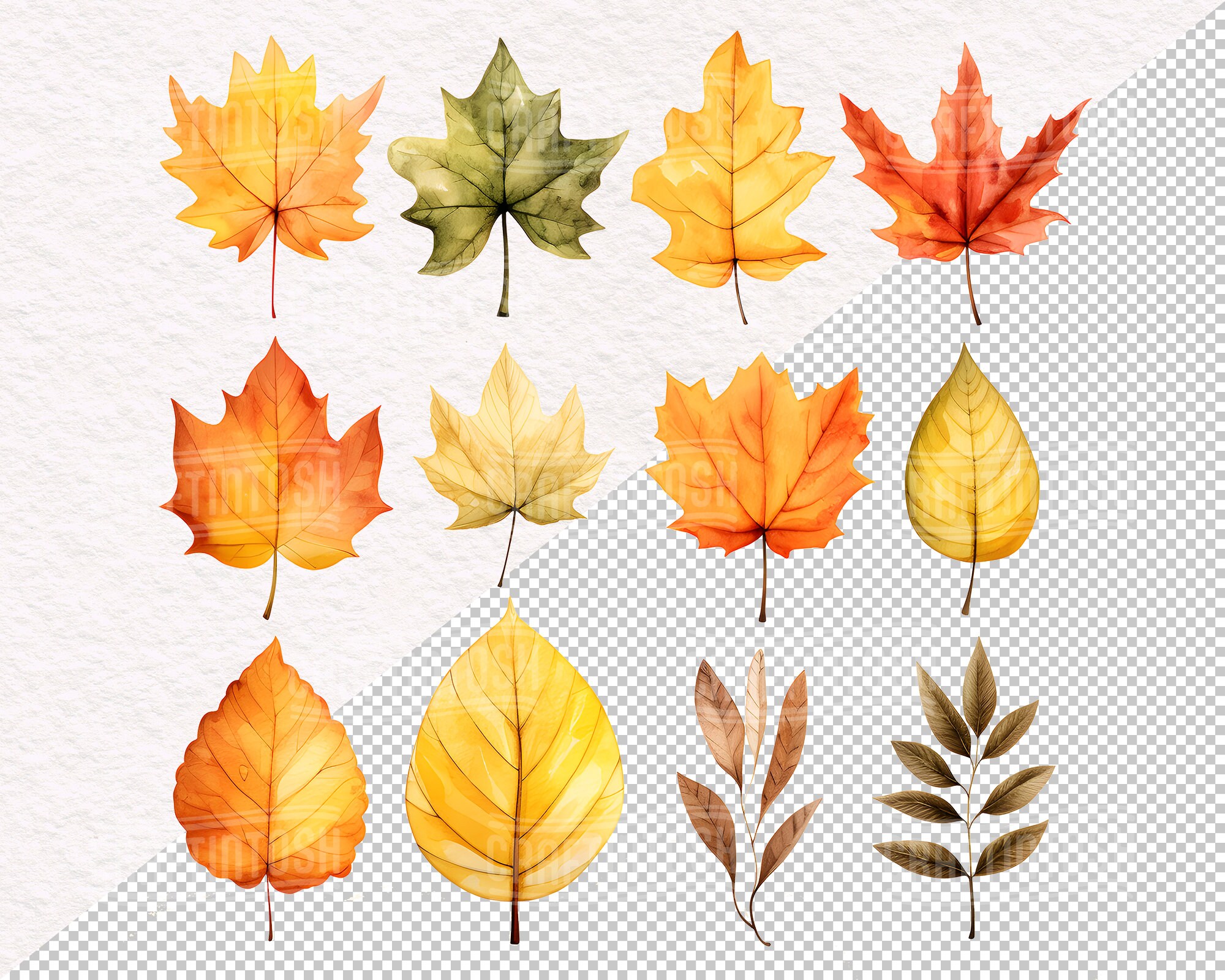 Cozy Autumn Clipart Bundle Watercolor Fall Harvest Leaves Pumpkins ...