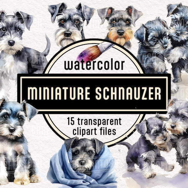 Watercolor Miniature Schnauzer Dog PNG Clipart - cute puppies pet portrait animal illustrations instant digital download for commercial use