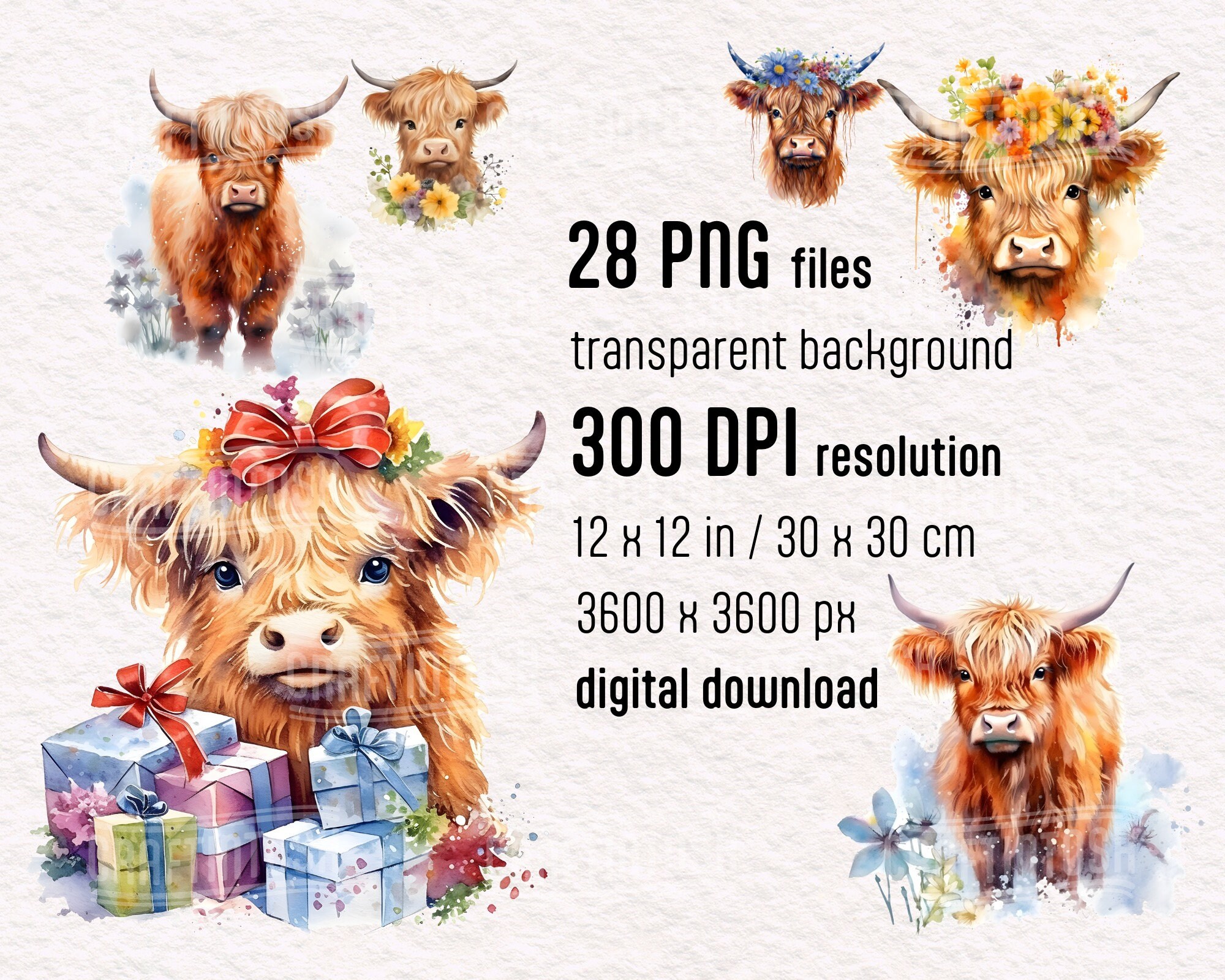 Baby Highland Cow Watercolor Clipart Set - 28 Transparent PNG Boho Baby ...
