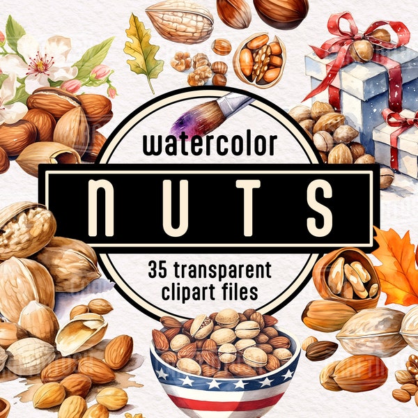 Watercolor Nuts Clipart Bundle: PNG Autumn harvest Walnut Peanut Hazelnut Pistachio Almond Food illustration Commercial use Instant download