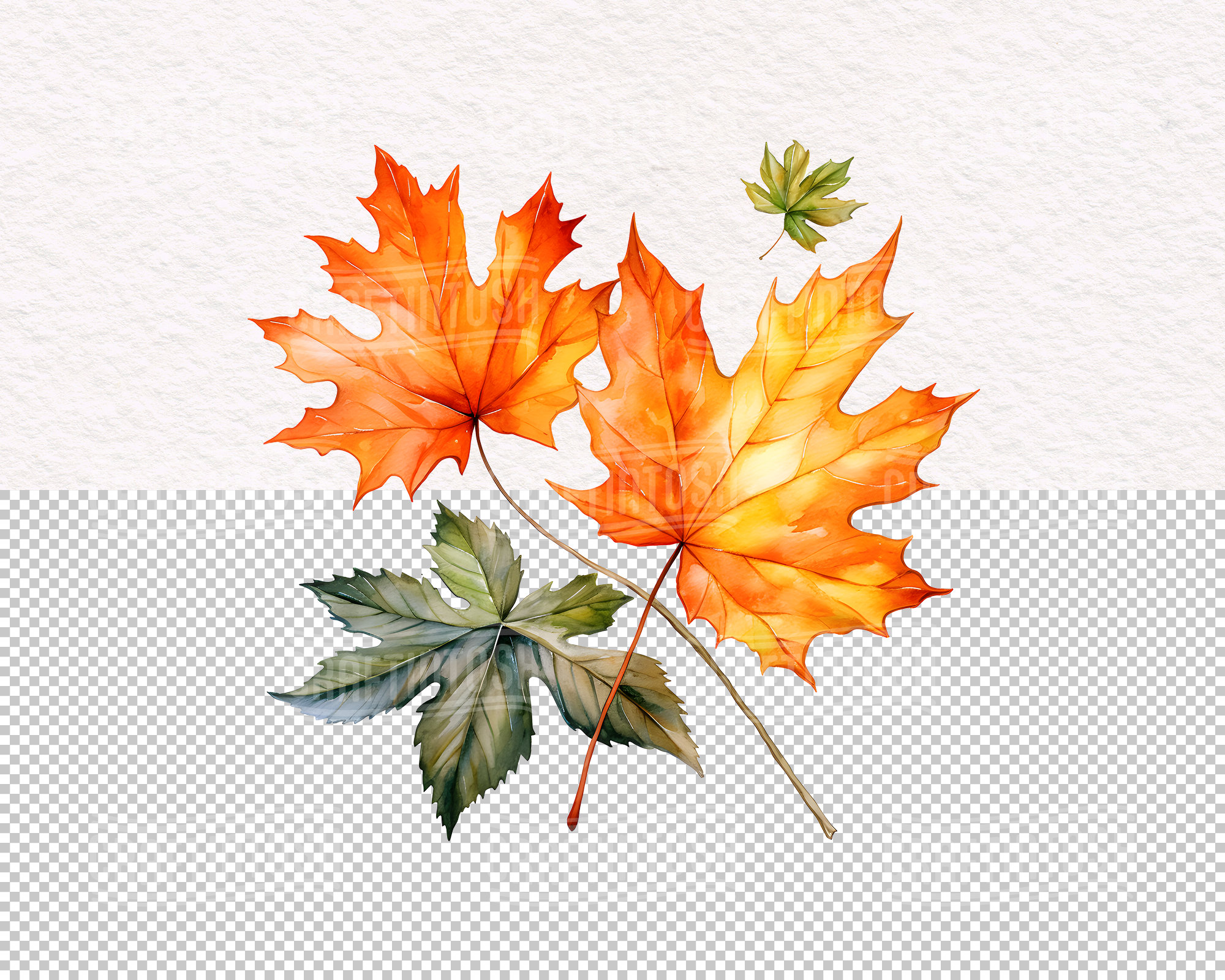 Watercolor Cozy Autumn Leaves Clipart - Transparent Fall Decor Leaf PNG ...