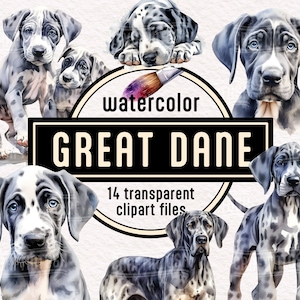 Watercolor Great Dane Dog and Puppies Clipart - pet portrait animal illustrations PNG instant download for commercial use