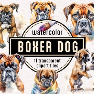 Watercolor Boxer Dogs and Puppies Clipart - cute animal illustrations pet portrait PNG instant download for commercial use