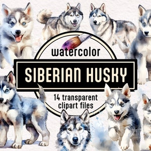 Watercolor Siberian Husky Dogs and Puppies Clipart - cute animal illustrations puppy party PNG instant download for commercial use