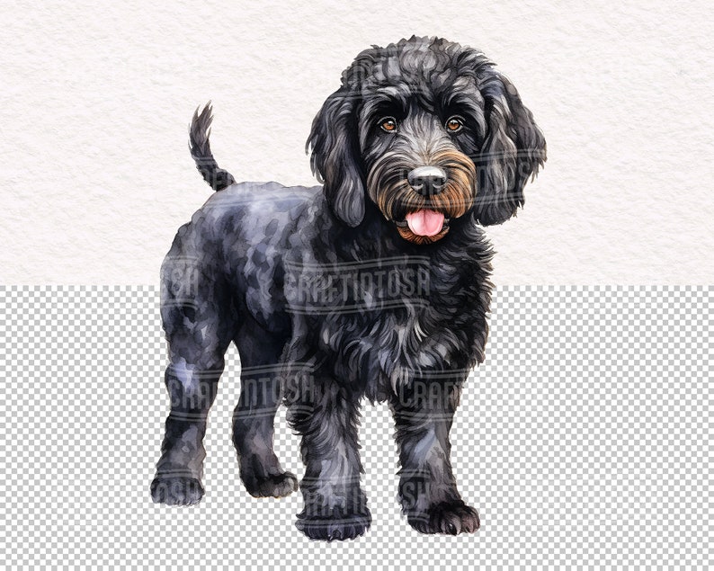Watercolor Black Labradoodle Dog PNG Clipart - Cute Puppies Pet ...