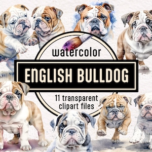 Watercolor English Bulldog Dog and Puppies Clipart - cute animal illustrations pet portrait PNG instant download for commercial use