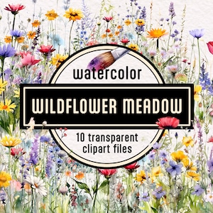 Watercolor Wildflower Meadow Clipart Bundle, instant download commercial use PNG Floral border, Flower bouquet