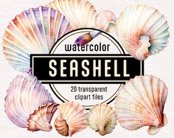 Watercolor Seashell Clipart PNG Set - digital graphics instant download commercial use high resolution printable Beach Ocean Sealife Art