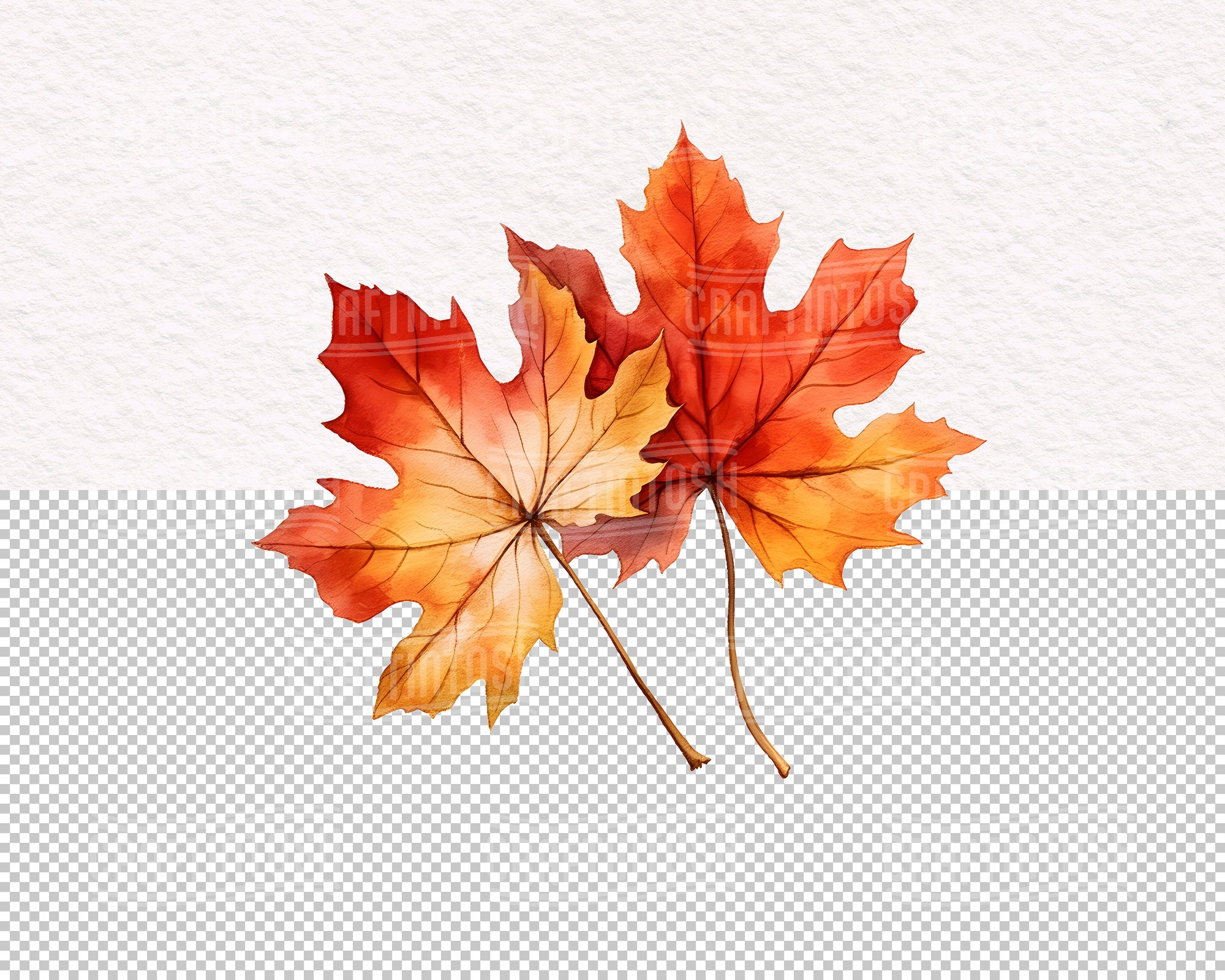 Watercolor Cozy Autumn Leaves Clipart - Transparent Fall Decor Leaf PNG ...