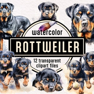 Watercolor Rottweiler Dog PNG Puppies Clipart - cute pet portrait animal PNG illustrations instant download for commercial use