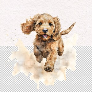 Watercolor Cockapoo Dog PNG Clipart - Cute Puppies Pet Portrait Animal ...