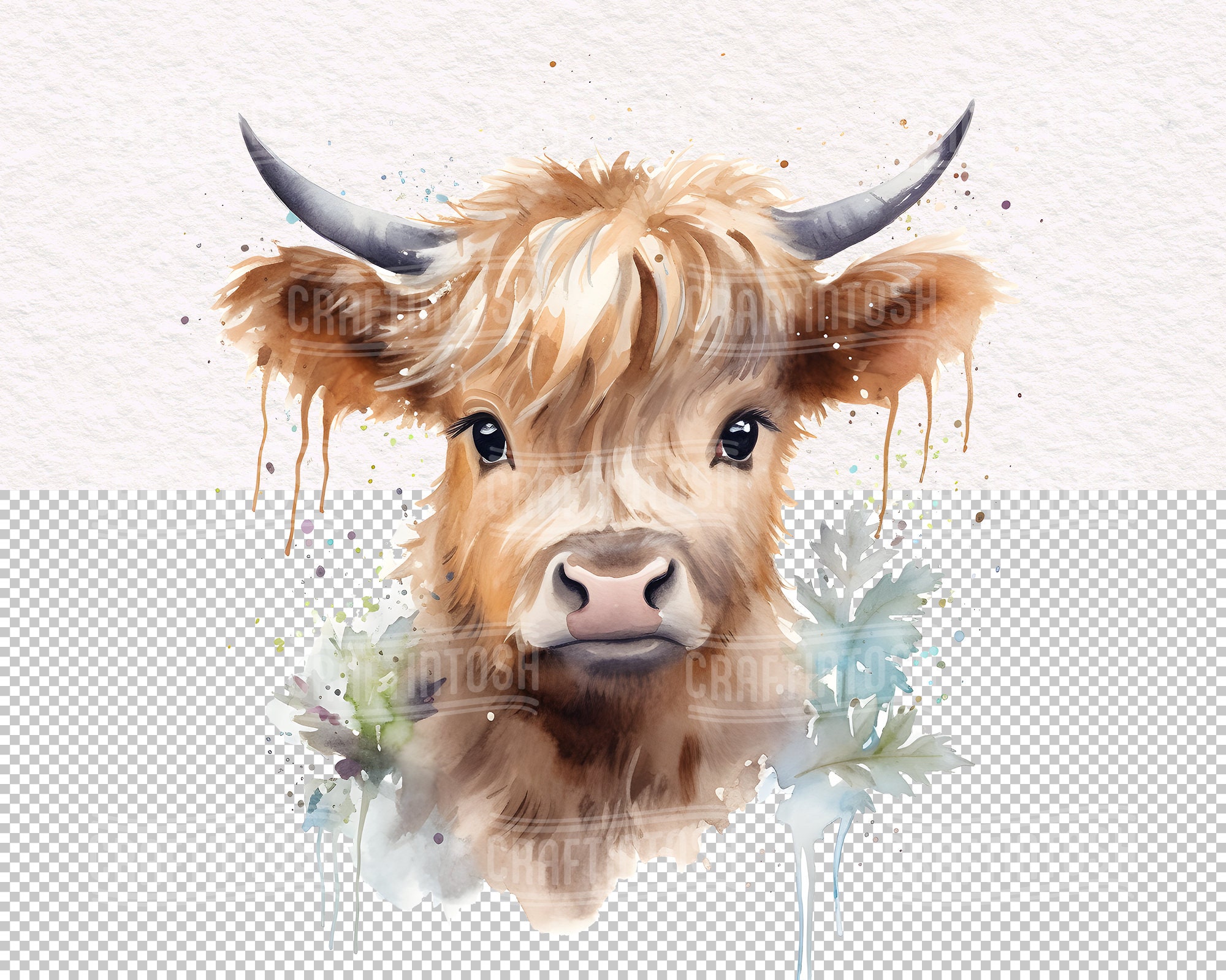 Baby Highland Cow Watercolor Clipart Set - 28 Transparent PNG Boho Baby ...
