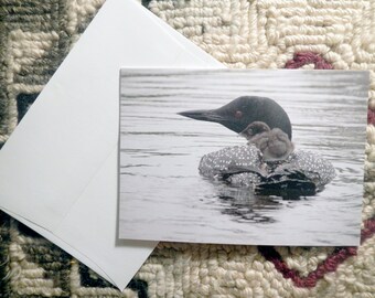May include: A black and white photo of a loon with a chick riding on its back. The loon is swimming in a lake with its head turned to the side. The chick is nestled in the loon's feathers.