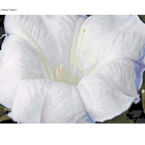 Sacred Datura Flower Cross Stitch Pattern (Digital Download)