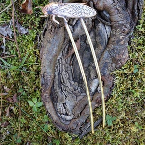May include: A bronze-toned hair fork with a cicada design. The insect has detailed wing patterns and is mounted on two long, gold-coloured prongs. The hair accessory is set against a backdrop of moss and tree bark.