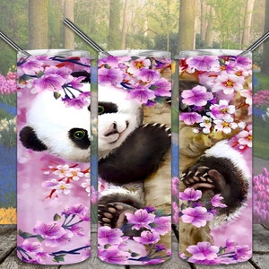 Diseños de sublimación de Panda de flor de cerezo para descarga digital de archivo PNG de vaso recto/cónico