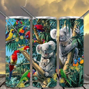 May include: Three stainless steel tumblers with a vibrant design featuring koalas and colorful parrots in a lush, green tree setting. The artwork includes a baby koala and various bird species.