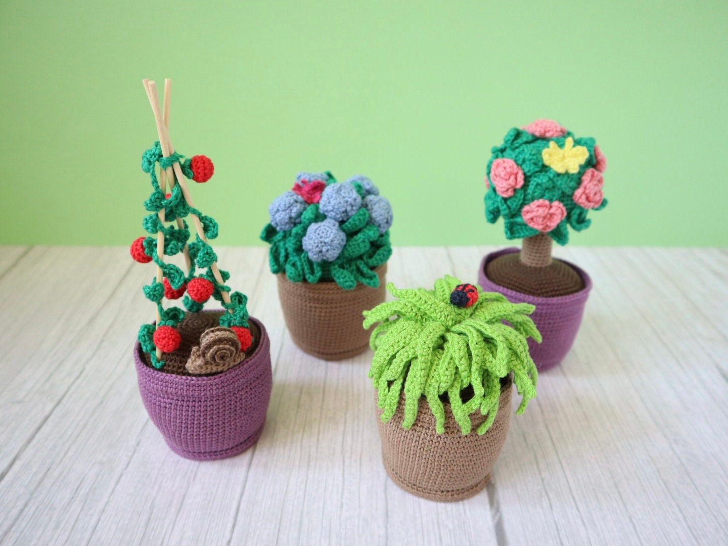 Garden Plants and Flowers & Snail