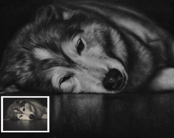 Disegno personalizzato di un cane, Memoriale di un cane, Foto da schizzare, Disegno a carboncino, Schizzo a matita, Regalo personalizzato per un cane, Ricordo di un cane, Amore per l'arte dei cani