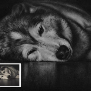 Custom Dog Drawing, Dog Memorial, Photo to Sketch, Charcoal Drawing, Pencil Sketch, Personalized Dog Gift, Dog Remembrance, Dog Art Love