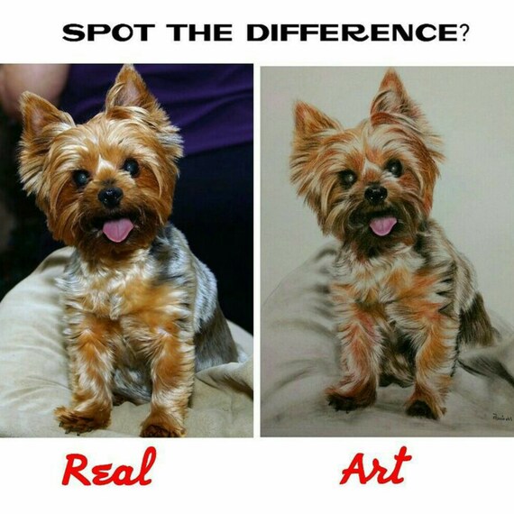 Custom Pet Portrait, Photo to Sketch, Pencil Sketch, Pet Memorial, Custom Pet Gifts, Personalized pet gift, Pet Remembrance