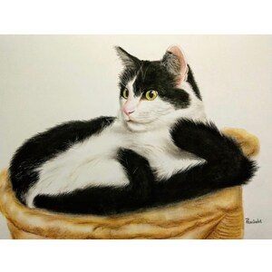 Custom Cat  Portrait, Photo to Sketch, Pencil Sketch, Cat Memorial, Custom Cat Gifts, Personalized Cat gift, Cat memory,Valentine&#39;s Day Gift