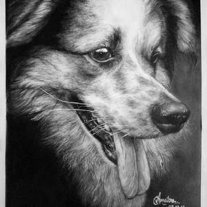 Custom Pet Portrait,Pet Memorial,Charcoal Drawing, Pet Portrait, Pencil Drawing, Dog Portrait, Personalized pet gift, Pet Remembrance image 2