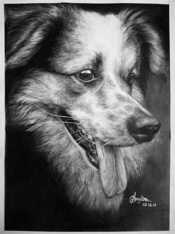 Custom Pet Drawingpet Memorial Photo To Sketch Pencil Sketch Personalized Pet Gift Pet Remembrance Pet Love Dog Art