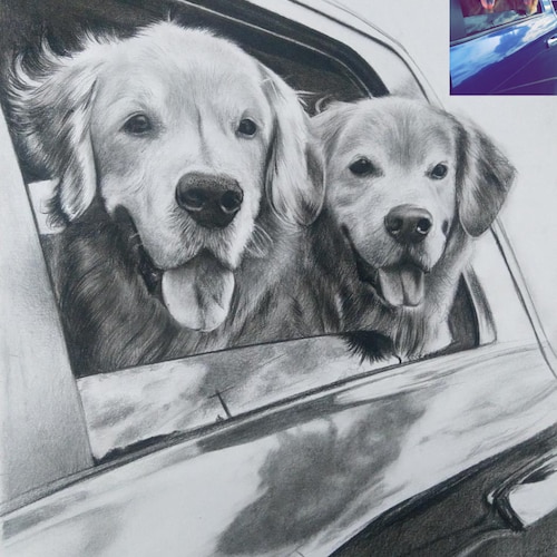 Custom Pet Portrait,Pet Memorial,Charcoal Drawing, Pet Portrait, Pencil Drawing, Dog Portrait, Personalized pet gift, Pet Remembrance