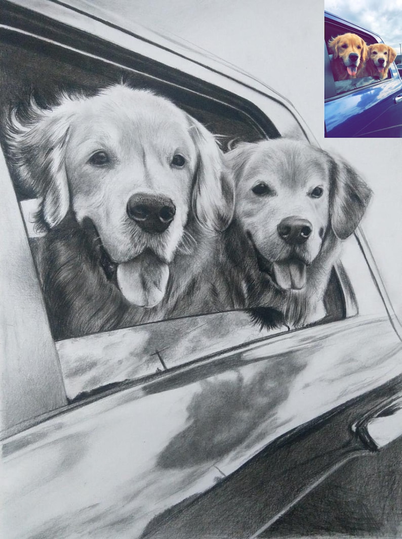 Custom Pet Portrait,Pet Memorial,Charcoal Drawing, Pet Portrait, Pencil Drawing, Dog Portrait, Personalized pet gift, Pet Remembrance image 1