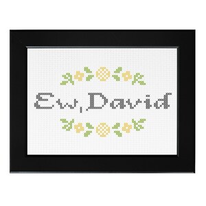 Ew, David || Schitt&#39;s Creek inspired  cross stitch